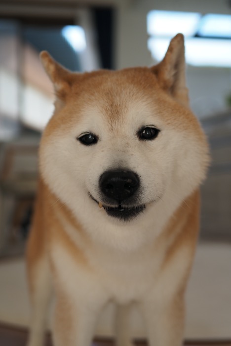 9日ブログ６