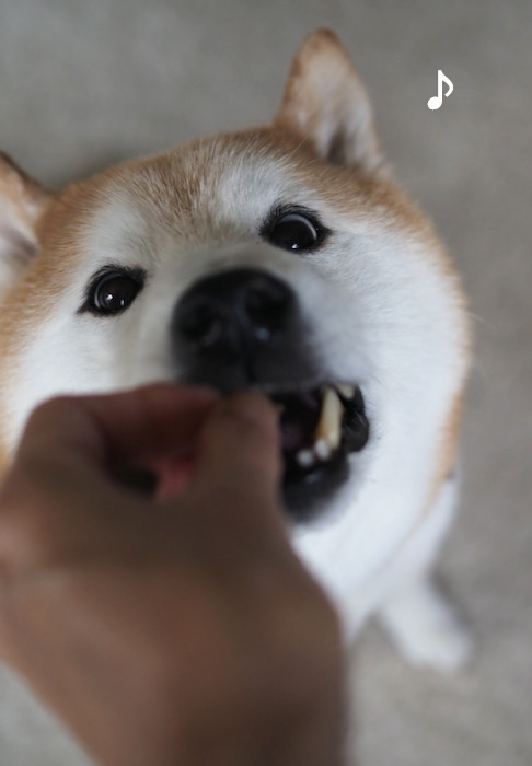 12日ブログ３