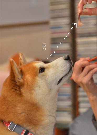 27日ブログ3.jpg