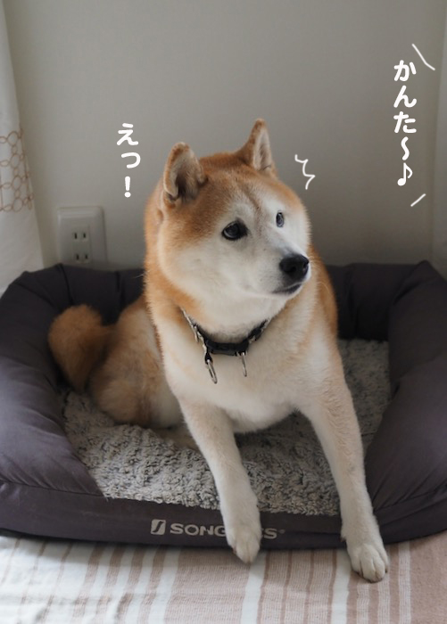 20日夕ブログ３