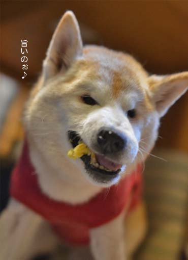 29日ブログ9.jpg