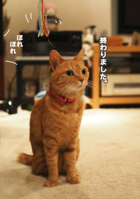 30日夕ブログ９