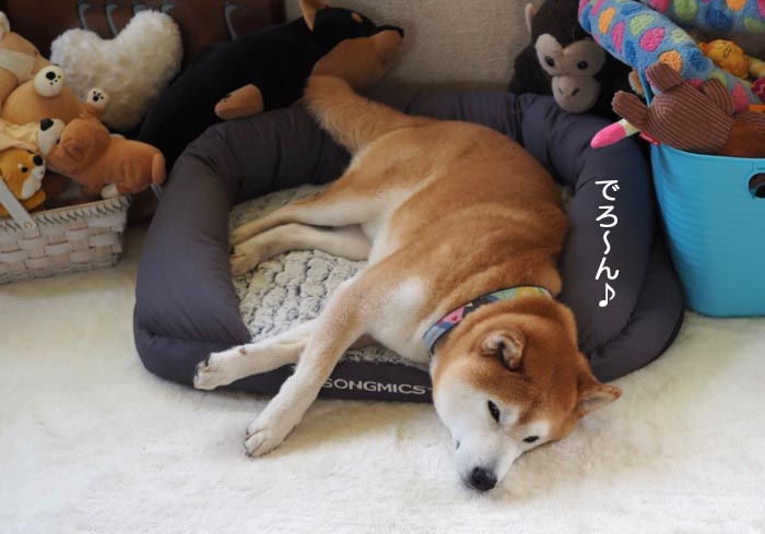 20日夕ブログ２