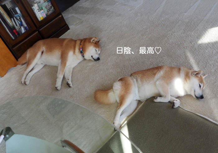 9日夜ブログ１４