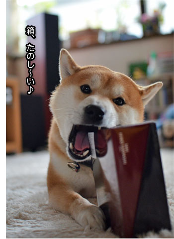 9日ブログ9.jpg