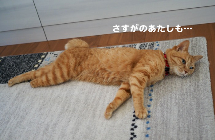 23日ブログ3