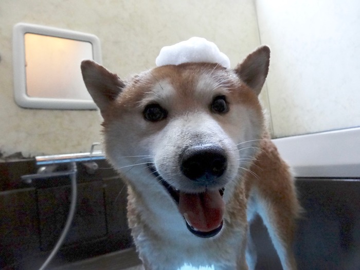 23日コンテスト2