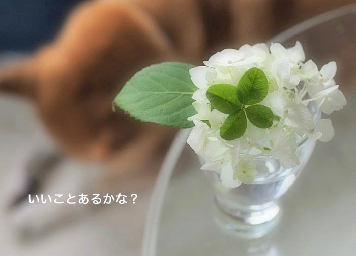 14日午後ブログ６