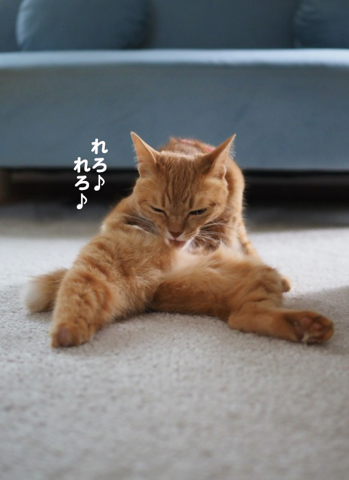 19日夜ブログ２