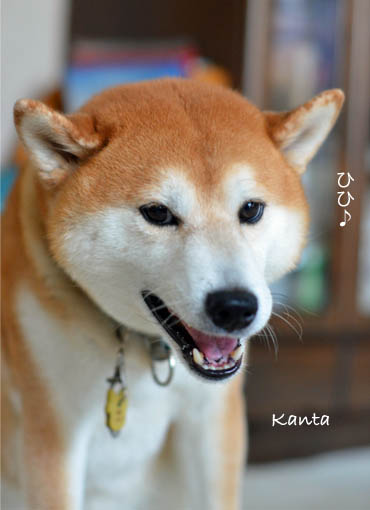 23日ブログ8.jpg