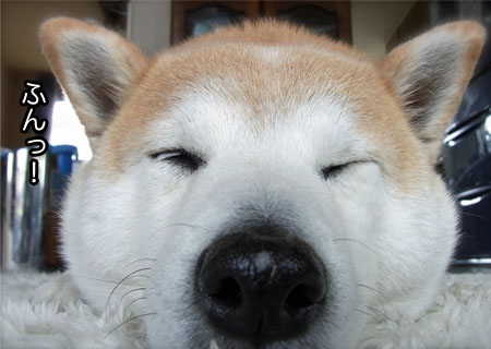 26日ブログ19.jpg