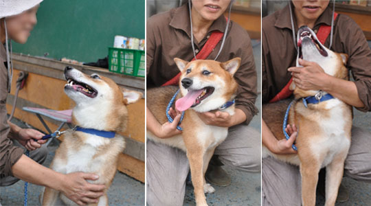 28日ブログ9.jpg