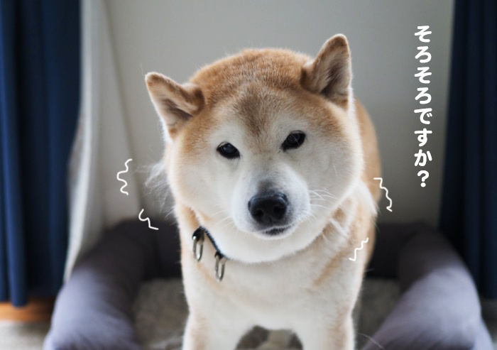 7日夕ブログ2
