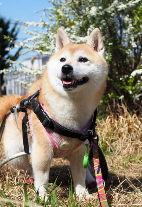 24日ブログ２