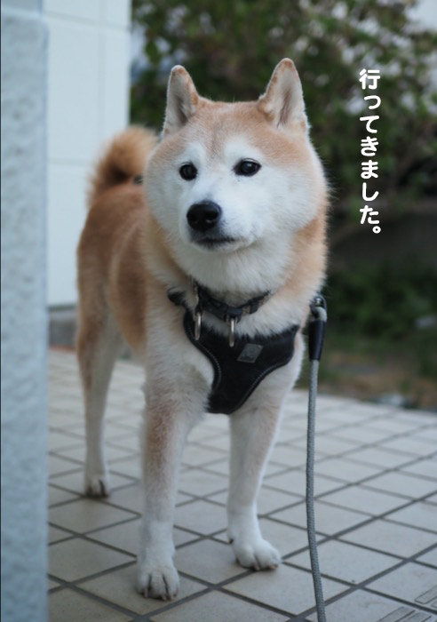14日夕ブログ３