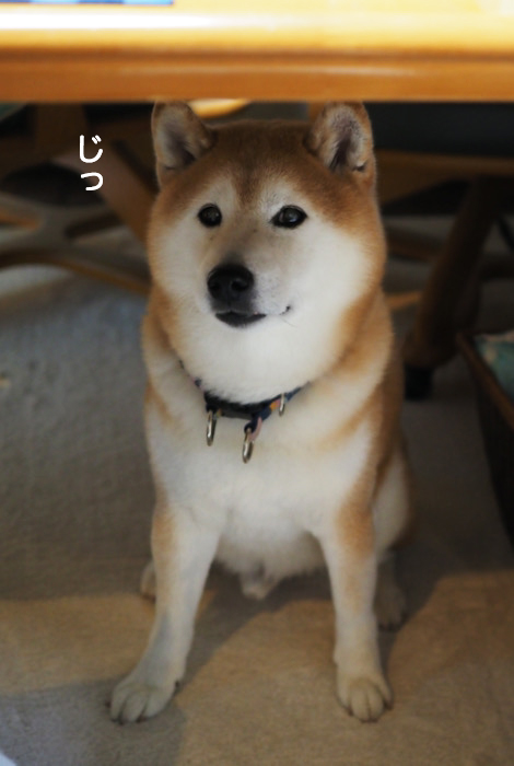 10日ブログ１