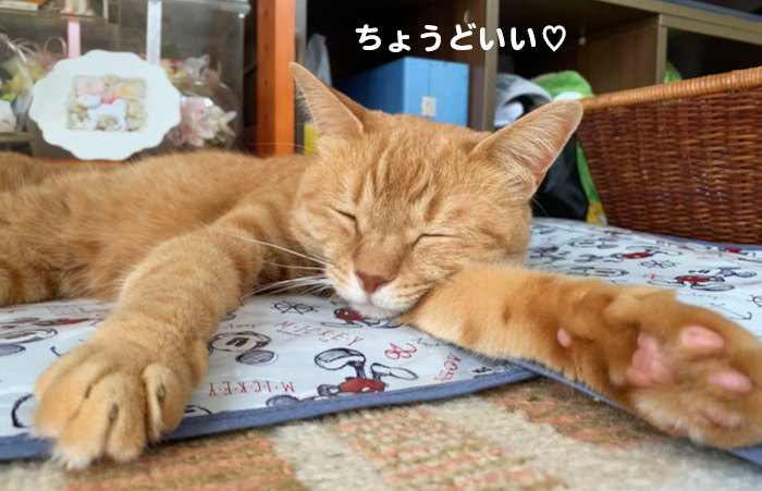 2日夕ブログ９