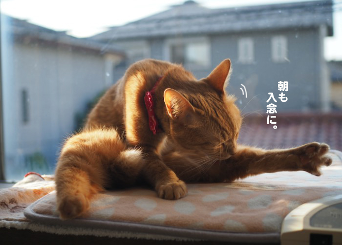 2日ブログ５