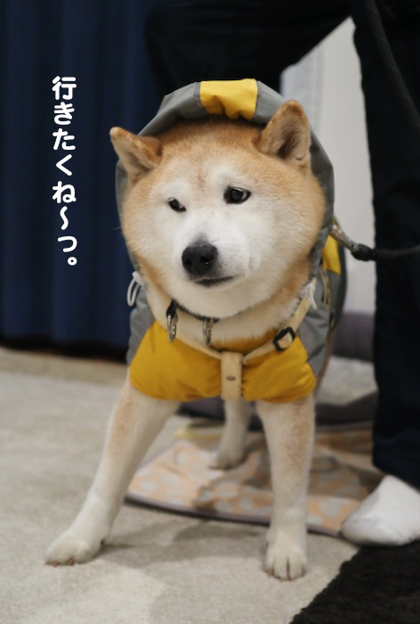 5日夜ブログ５