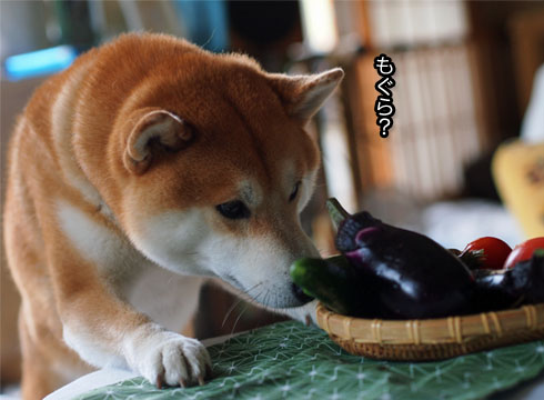 22日ブログ13.jpg