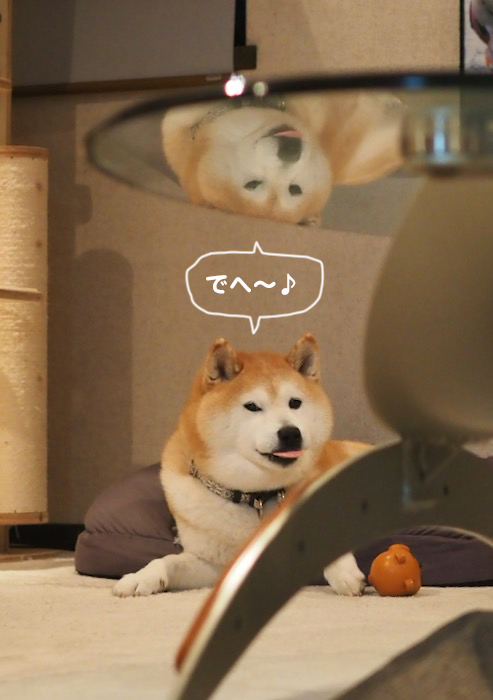 5日夕ブログ４