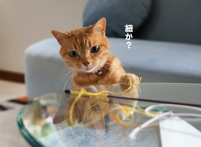 25日夕ブログ４