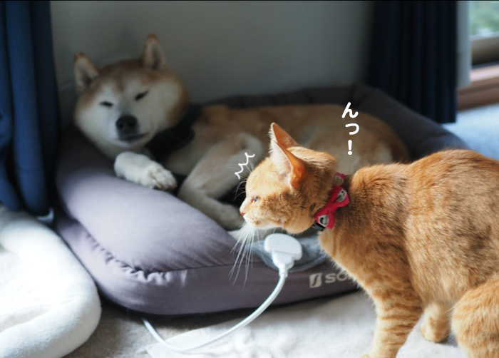 13日夕ブログ２