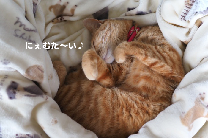 26日朝ブログ１