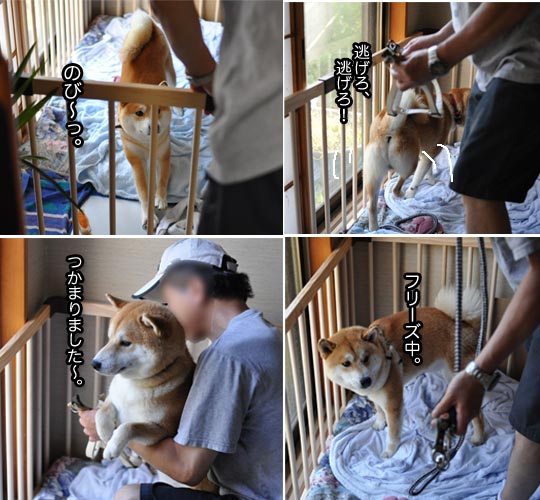 23日ブログ7.jpg