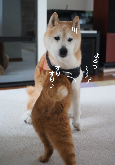 14日ブログ２