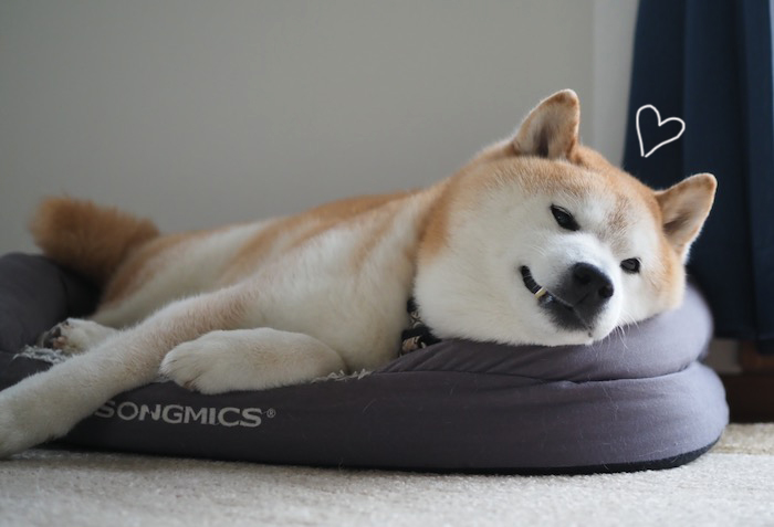1日夕ブログ６