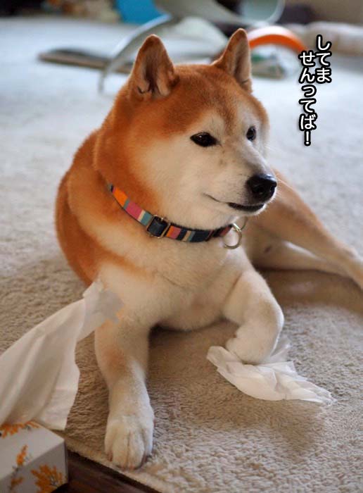 26日ブログ５