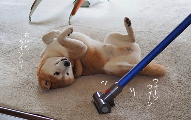14日ブログ3