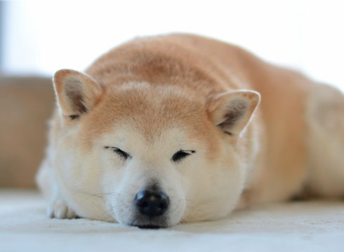 25日ブログ3.jpg