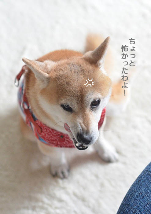 30日夜ブログ5