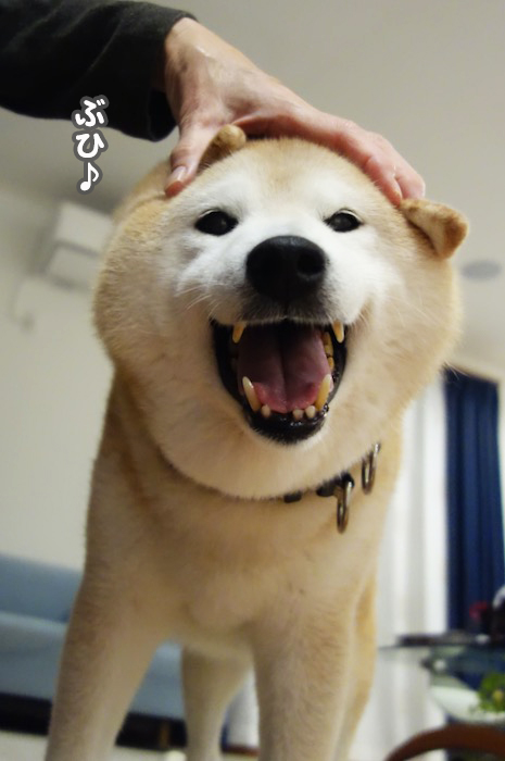 15日ブログ６