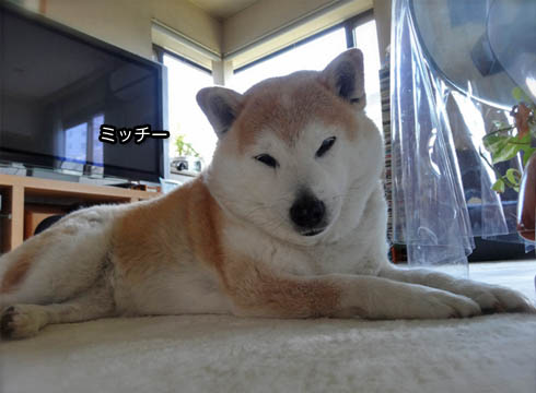27日ブログ2.jpg