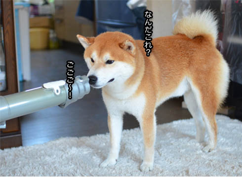29日ブログ4.jpg