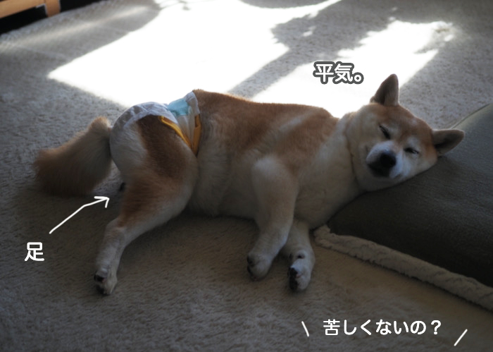 28日ブログ３