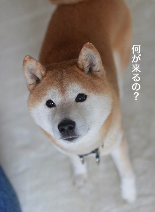31日ブログ7
