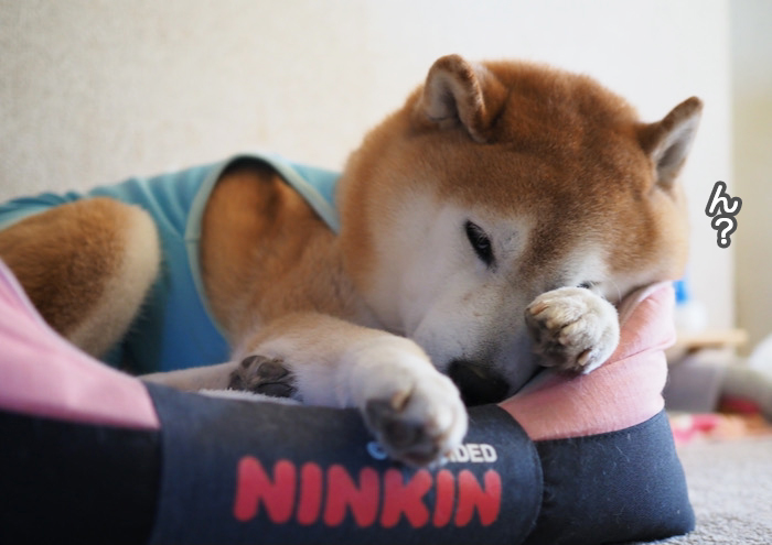 2日夜ブログ２