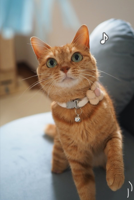 17日夕ブログ８