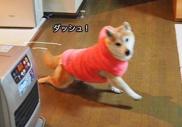 21日ブログ３