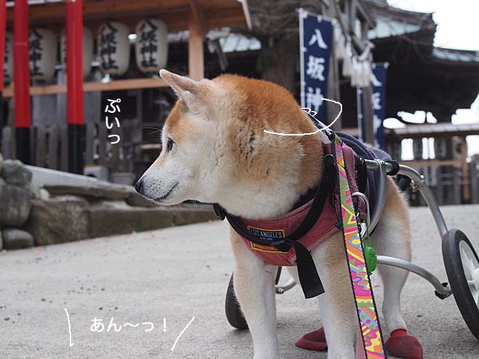19日ブログ１０