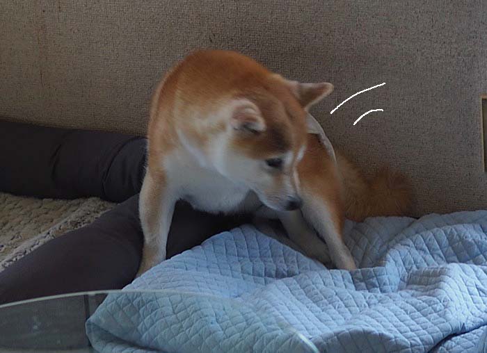 21日午前ブログ4