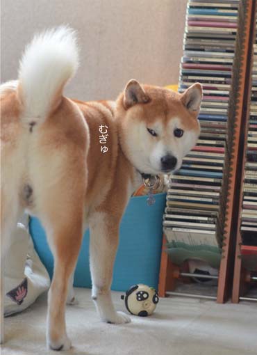 28日ブログ4.jpg