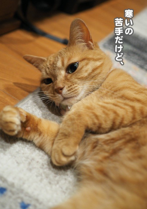 8日夕ブログ５