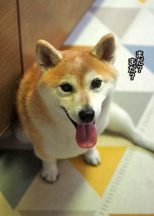 21日夕ブログ２