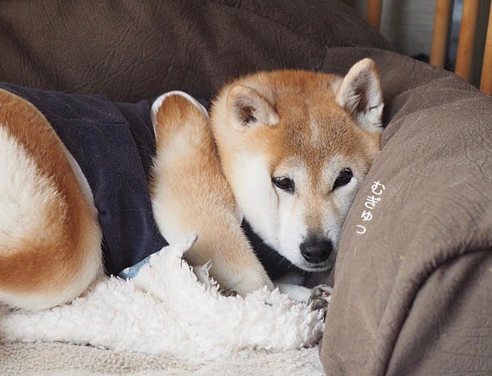 14日ブログ２