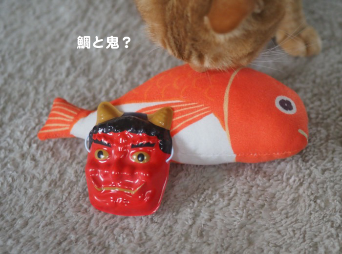 3日夕ブログ５